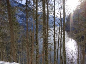 IMG_20190120_140754