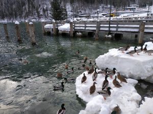 IMG_20190120_150239